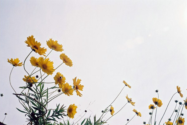 04032009