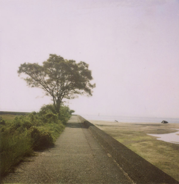 06062009 06062009