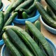 cucumbers