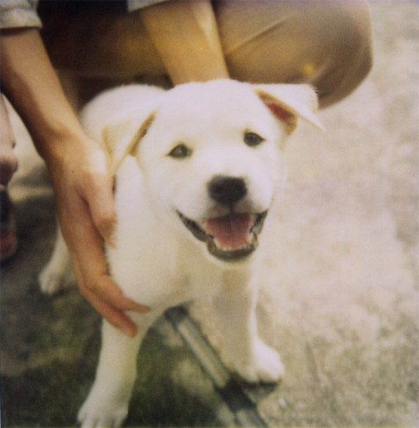 sx70_78